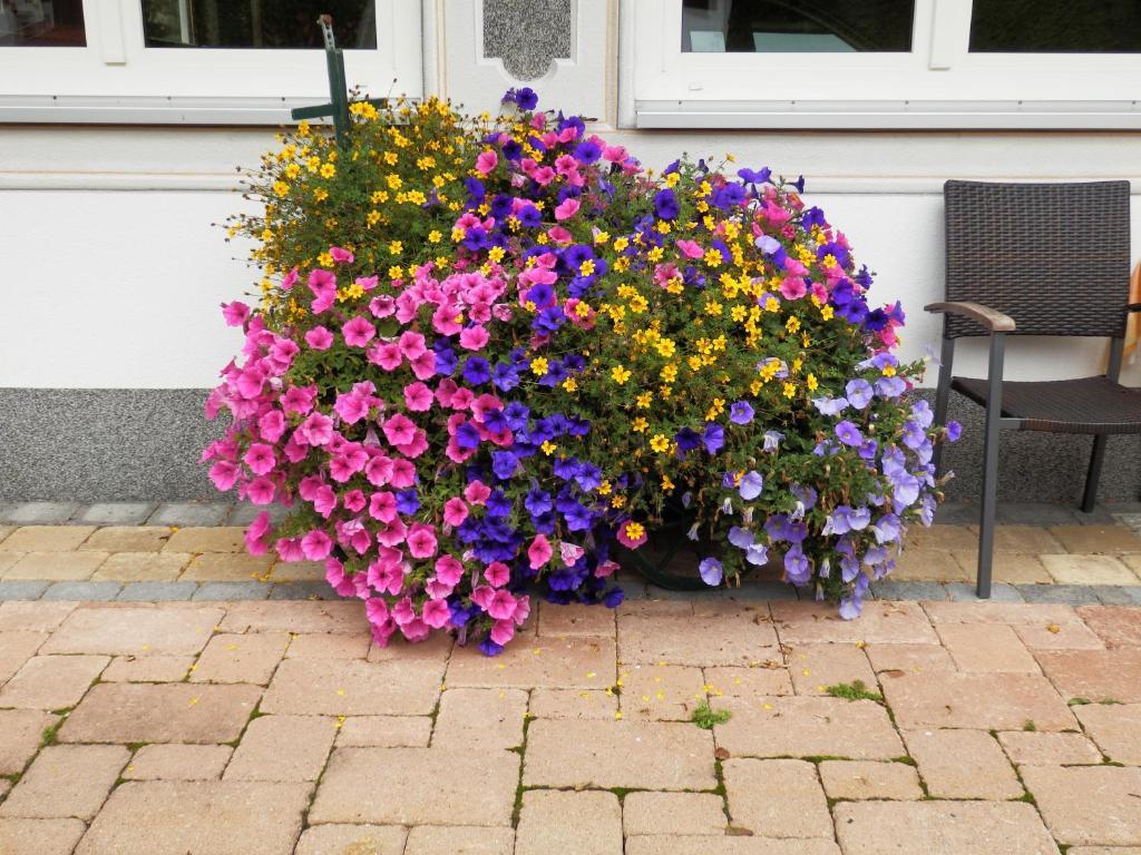 Haus Seebach Berwang Ngoại thất bức ảnh